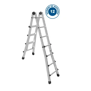 Échelle Télescopique Black 66